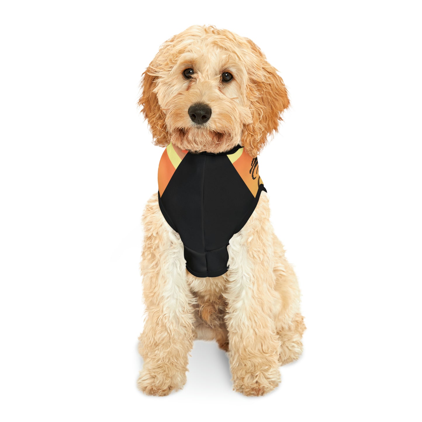 Pet Hoodie